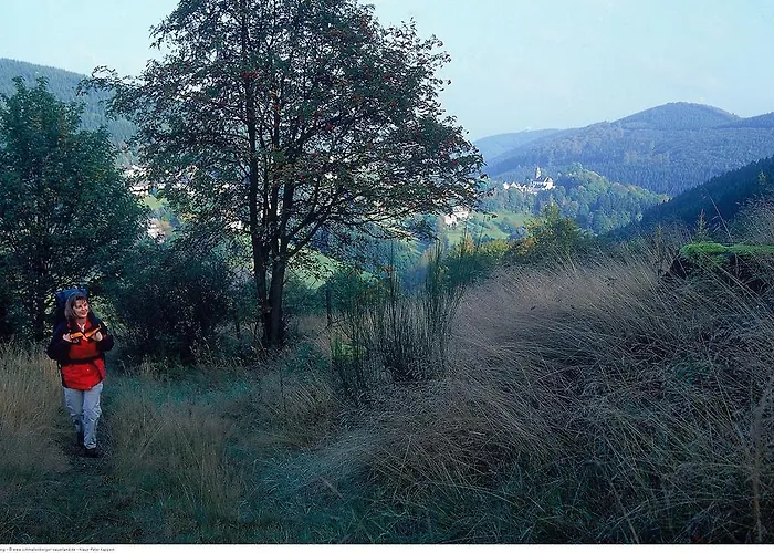 Schieferhof Отель Шмалленберг