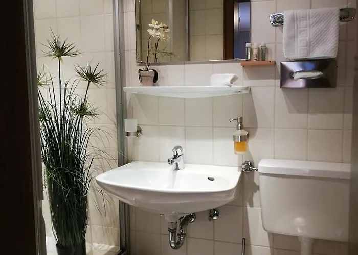 Schieferhof Отель Шмалленберг